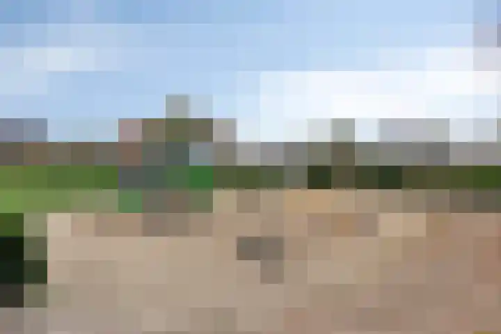 Lingestraat 1 Eindhoven thumbnail 35