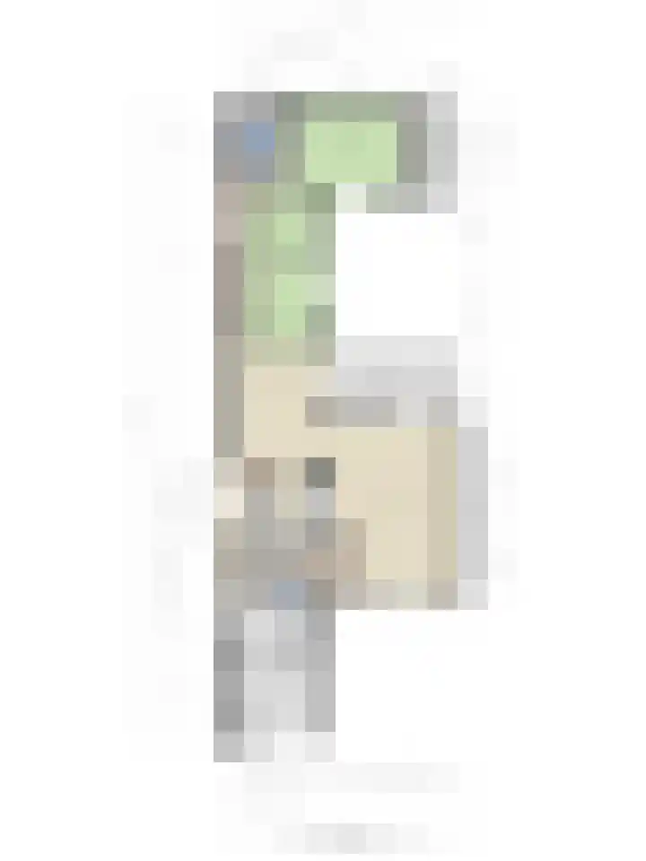 Lingestraat 1 Eindhoven thumbnail 37