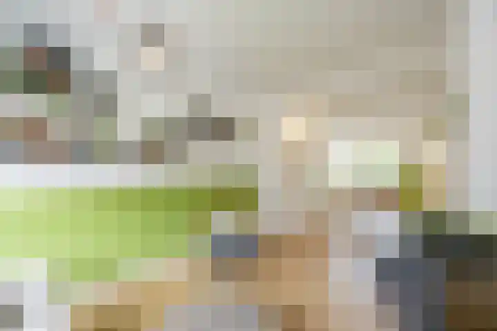 Lingestraat 10 a Groningen thumbnail 10
