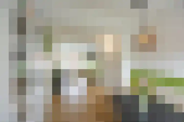Lingestraat 10 a Groningen thumbnail 13