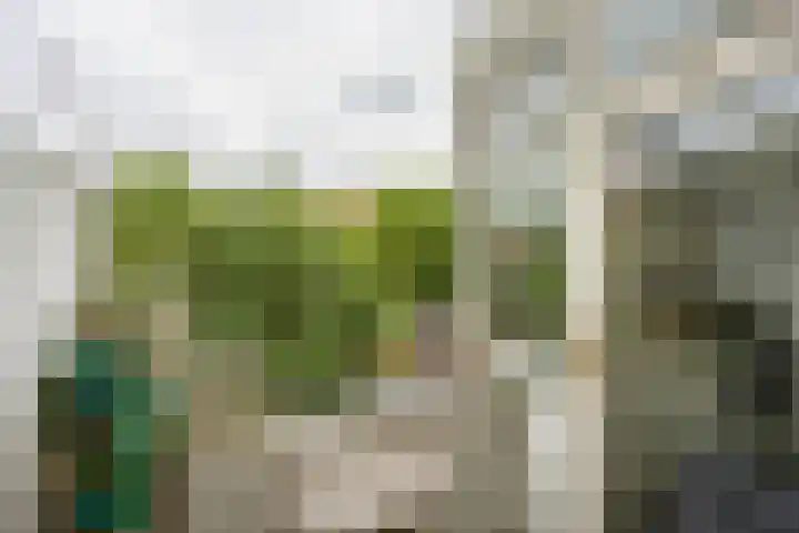 Lingestraat 10 a Groningen thumbnail 17