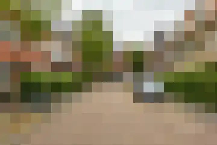 Lingestraat 10 a Groningen thumbnail 35