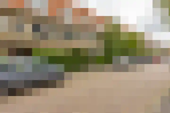 Lingestraat 10 a Groningen thumbnail 5