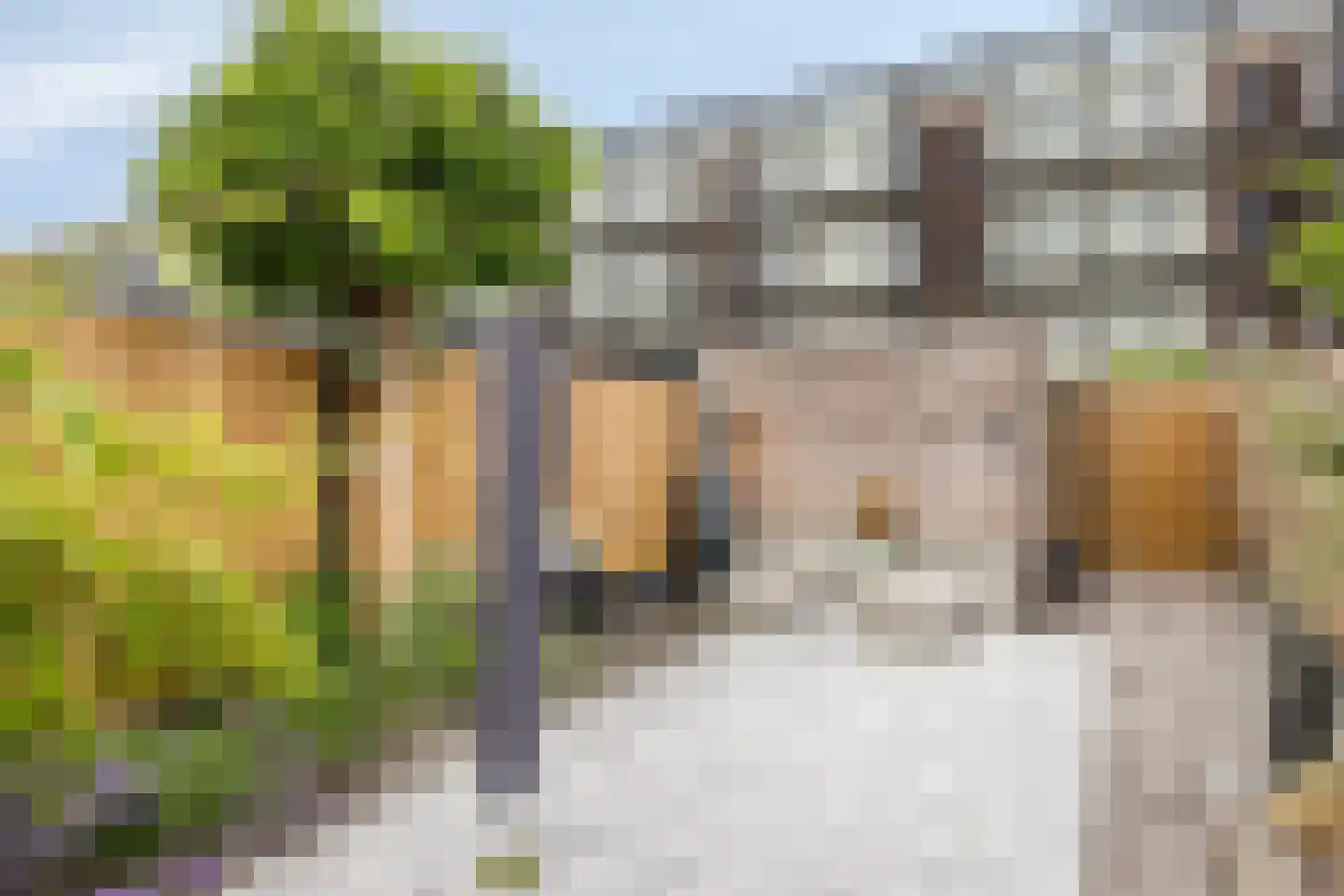 Lingestraat 10 Middelburg thumbnail 18