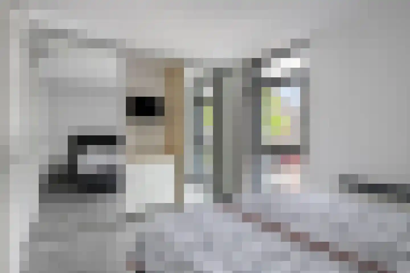 Lingestraat 10 Middelburg thumbnail 9