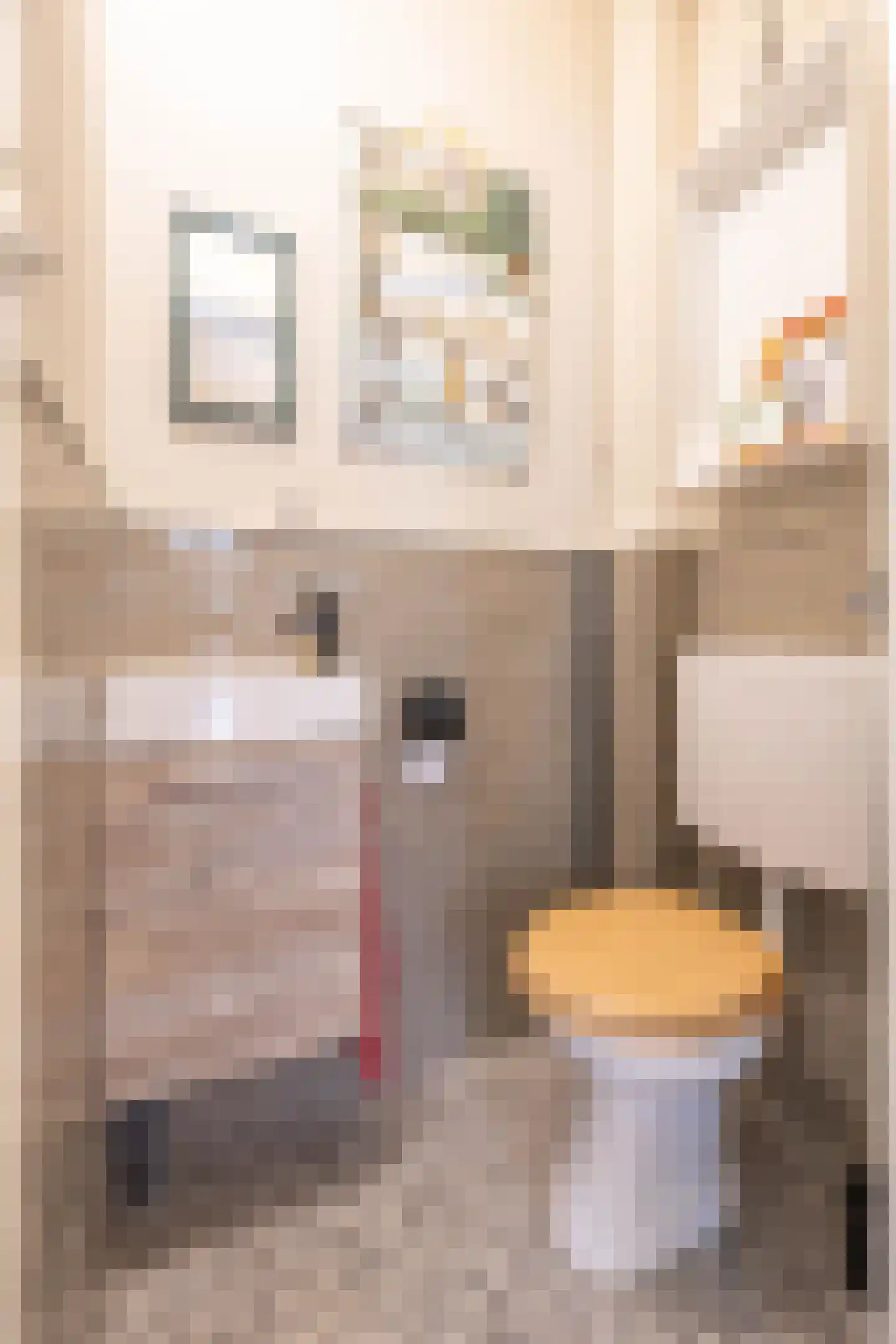 Lingestraat 11 Groningen thumbnail 29