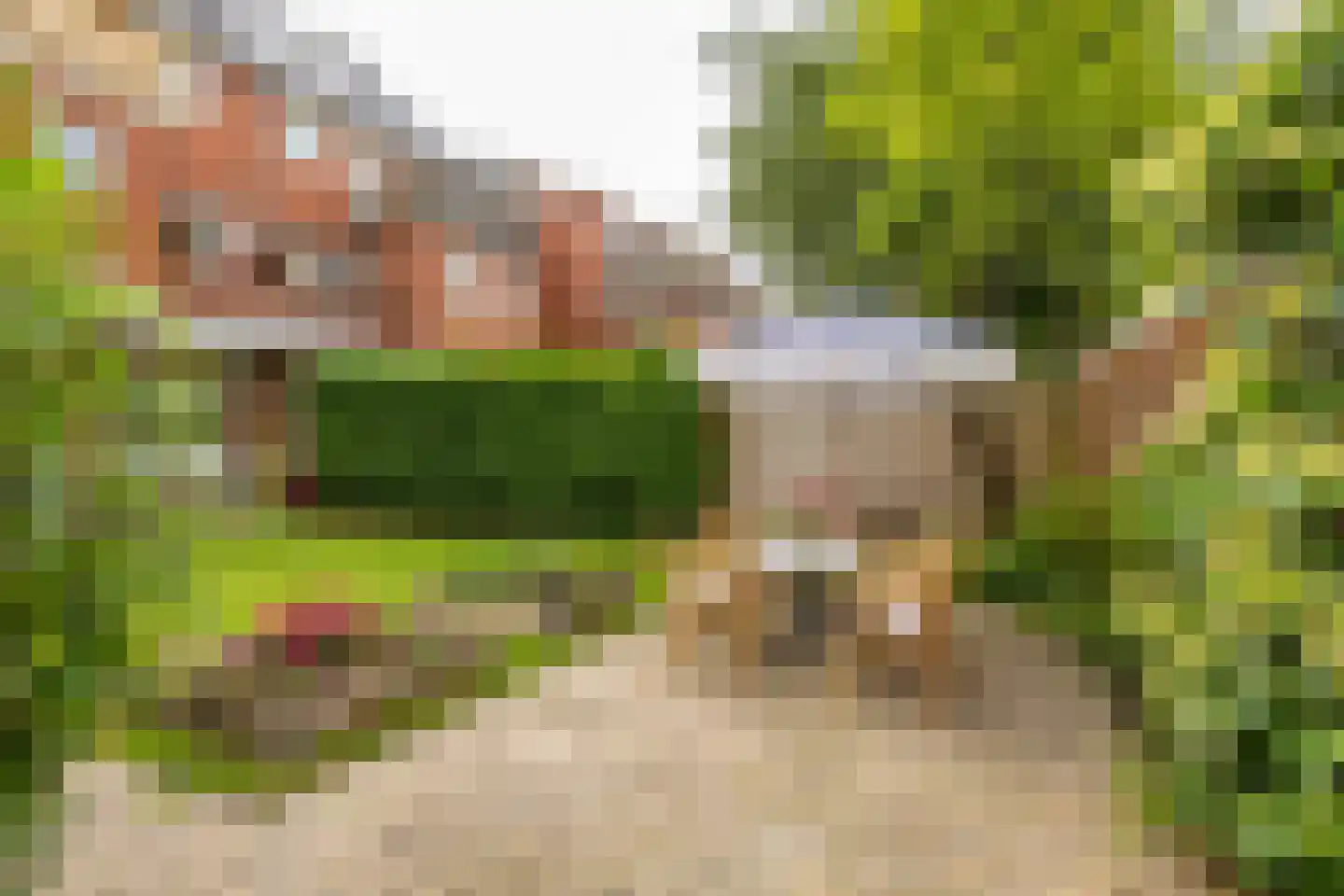 Lingestraat 11 Groningen thumbnail 34