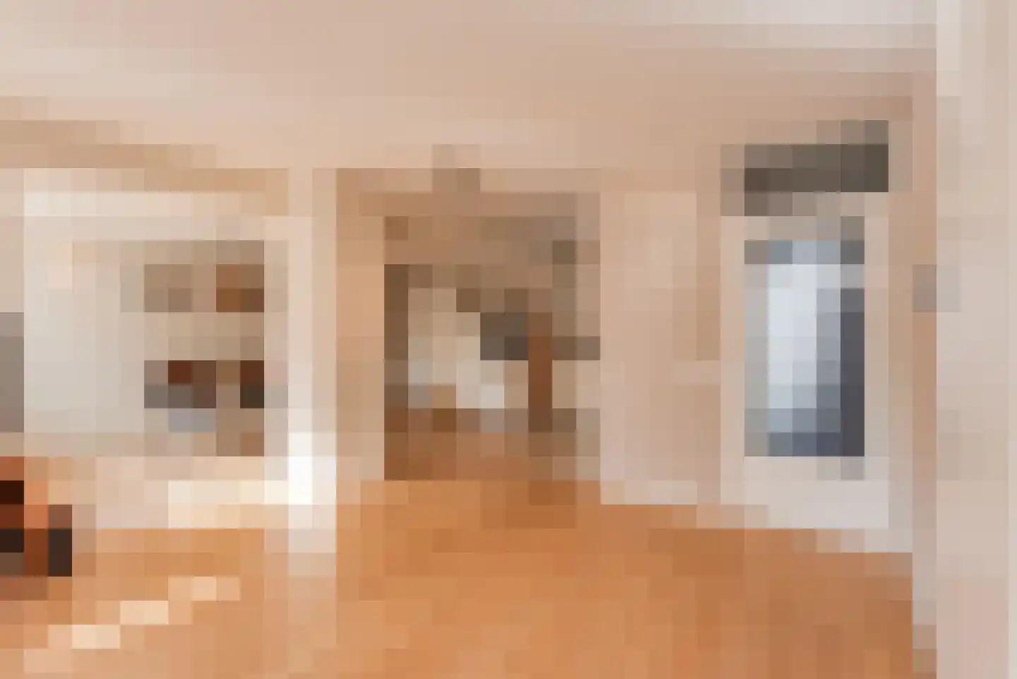 Lingestraat 13 Culemborg thumbnail 10