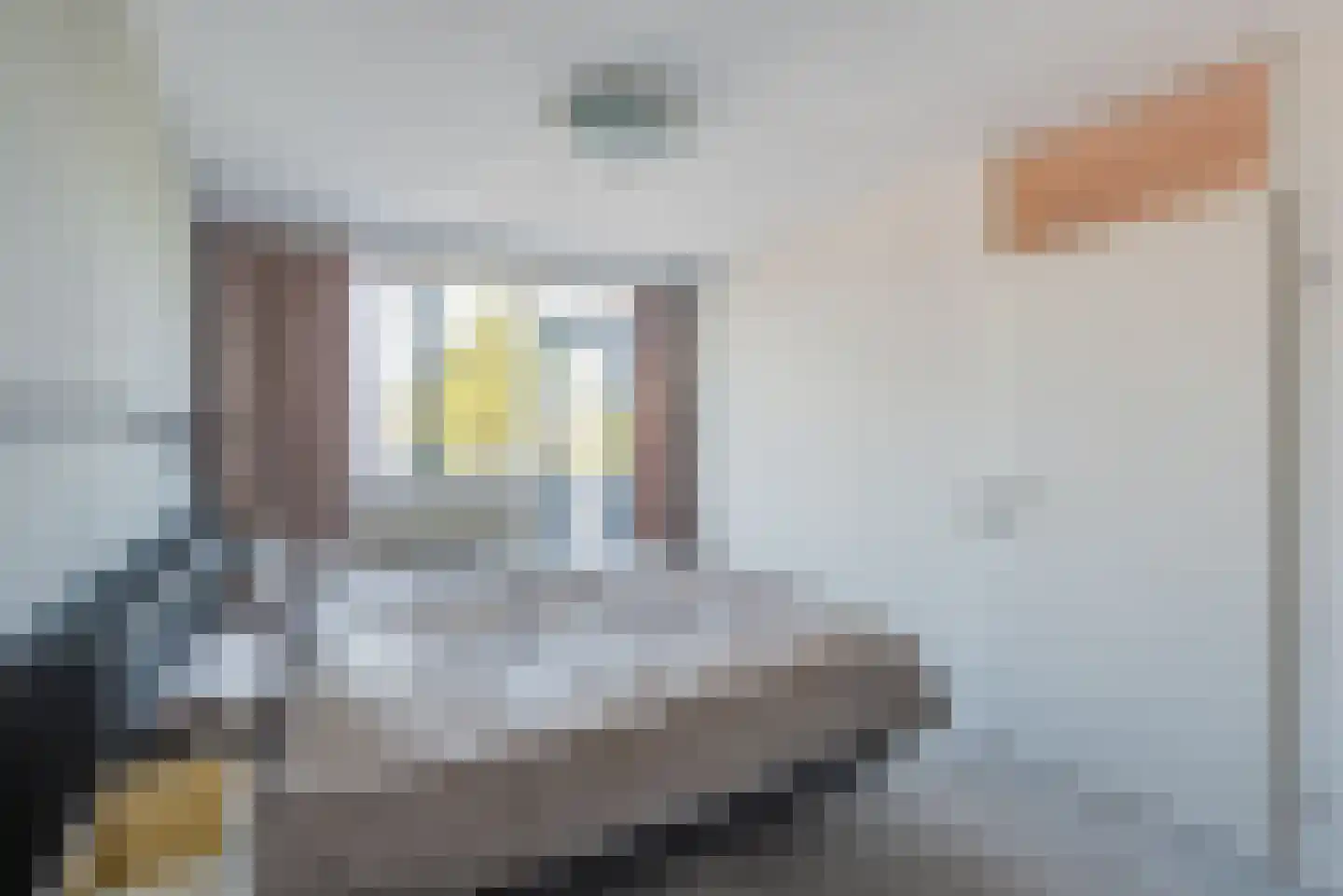Lingestraat 13 Culemborg thumbnail 25