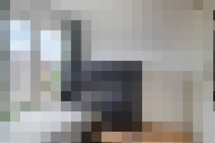 Lingestraat 13 Dongen thumbnail 21