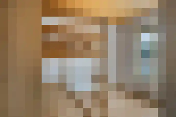 Lingestraat 13 Dongen thumbnail 22