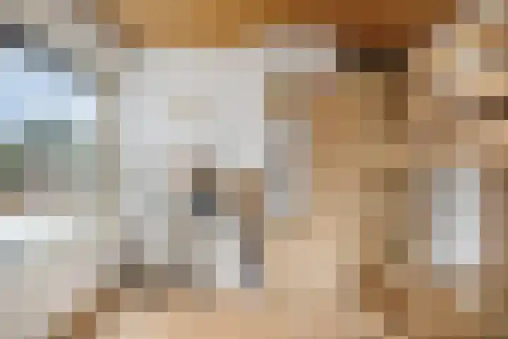 Lingestraat 13 Dongen thumbnail 23