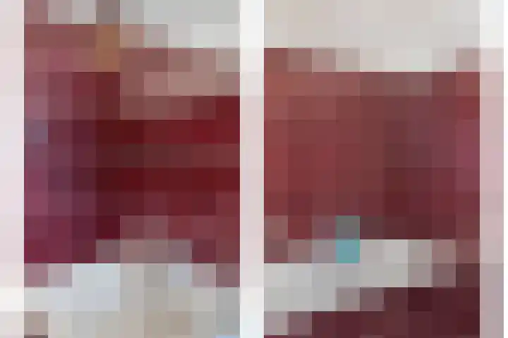 Lingestraat 13 Dongen thumbnail 25