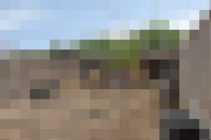 Lingestraat 13 Dongen thumbnail 29