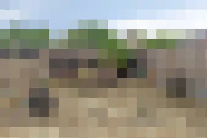 Lingestraat 13 Dongen thumbnail 30
