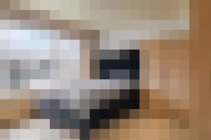 Lingestraat 13 Dongen thumbnail 4