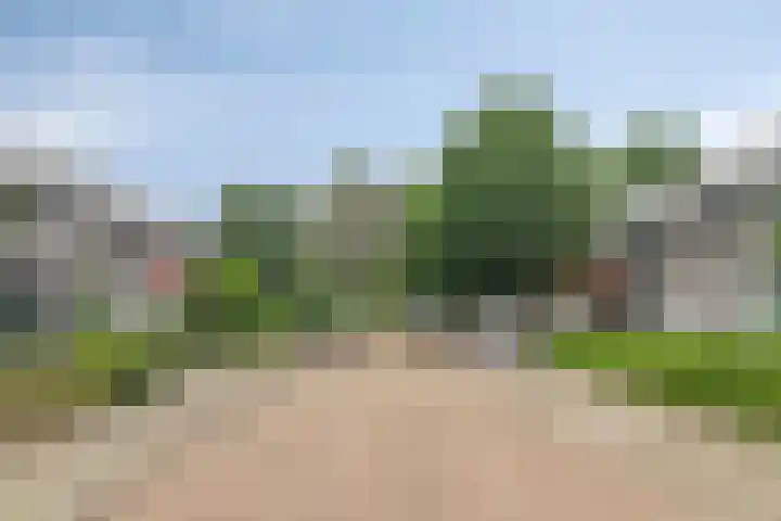 Lingestraat 13 Dongen thumbnail 8