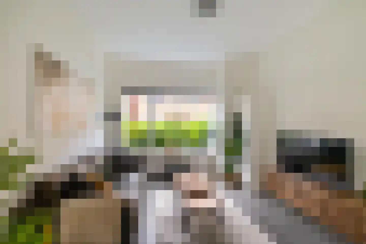 Lingestraat 14 Groningen thumbnail 10