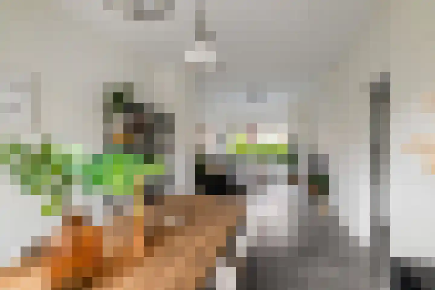 Lingestraat 14 Groningen thumbnail 12