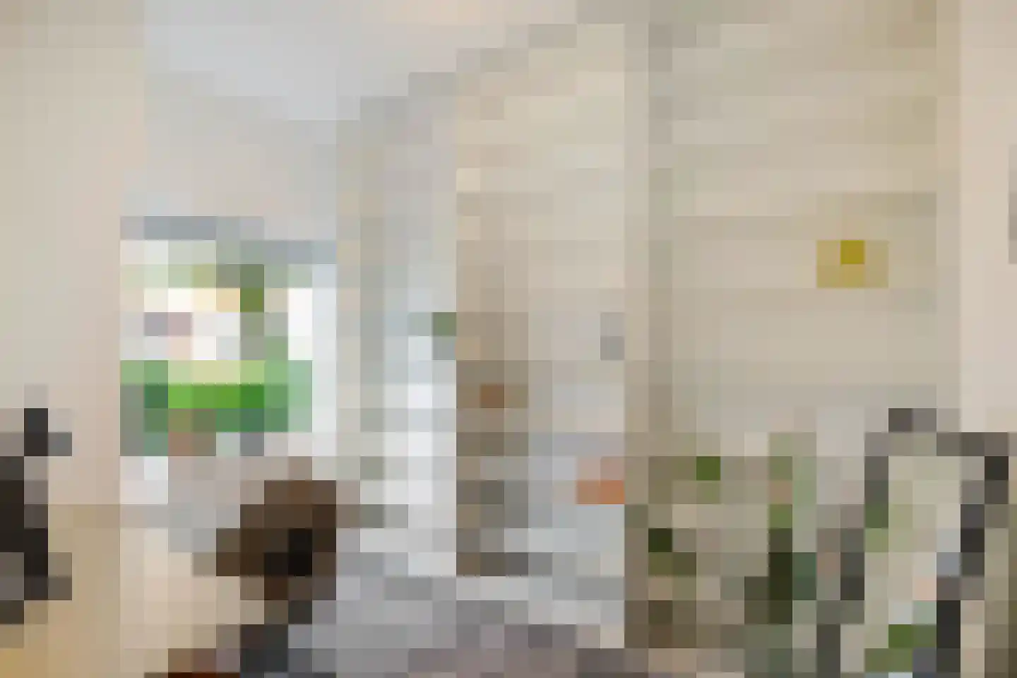 Lingestraat 14 Groningen thumbnail 23