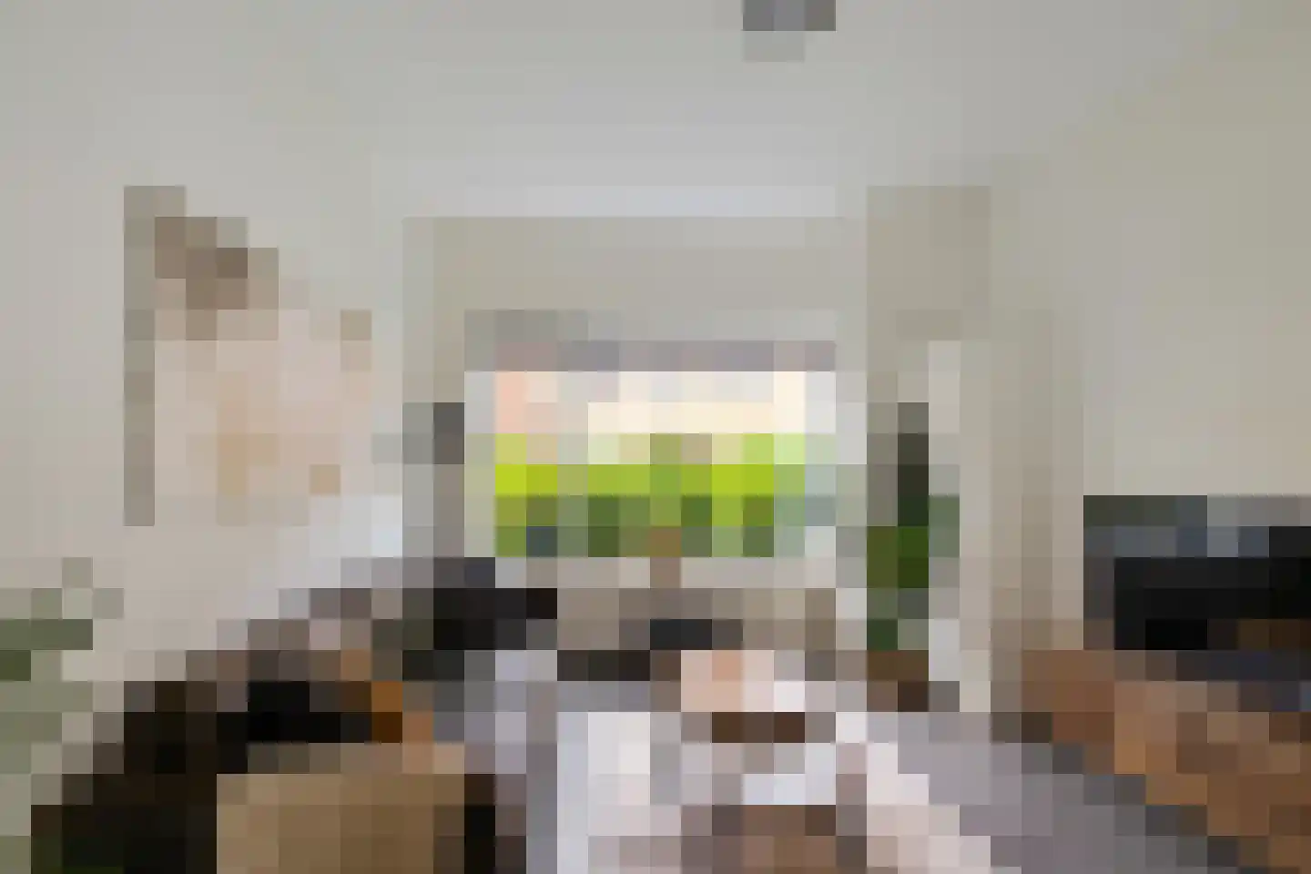 Lingestraat 14 Groningen thumbnail 9