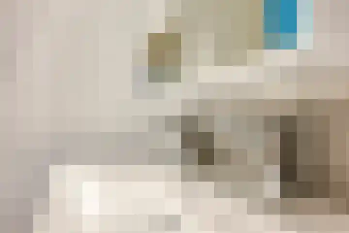 Lingestraat 14 Veghel thumbnail 25