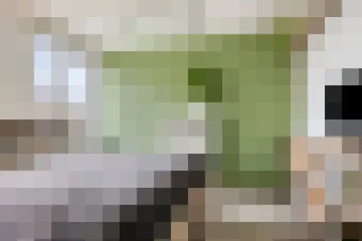 Lingestraat 14 Veghel thumbnail 29