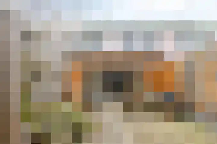 Lingestraat 14 Veghel thumbnail 33