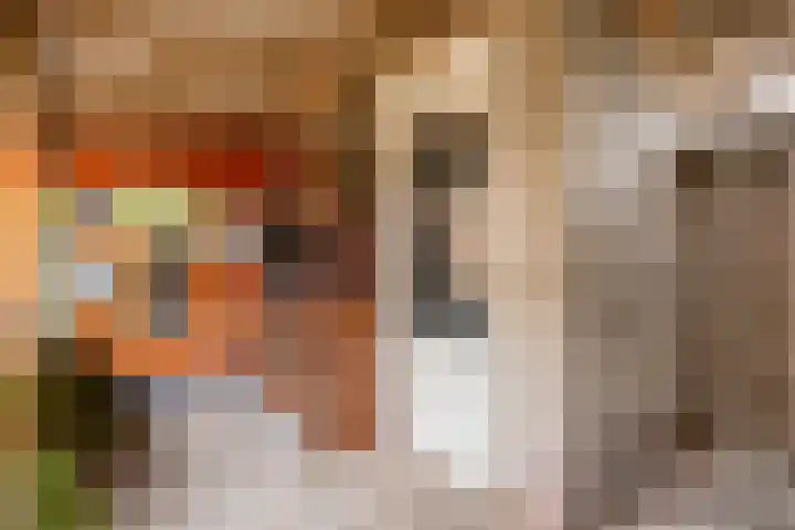 Lingestraat 14 Veghel thumbnail 35