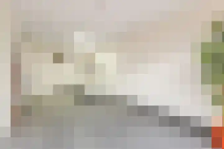 Lingestraat 15 Terneuzen thumbnail 11