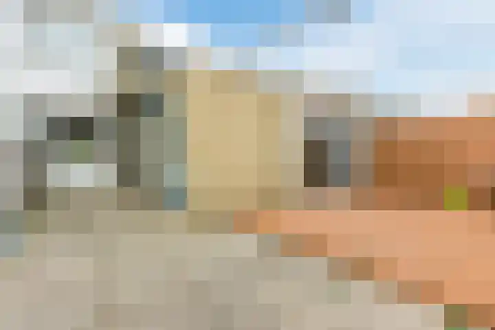 Lingestraat 15 Terneuzen thumbnail 21