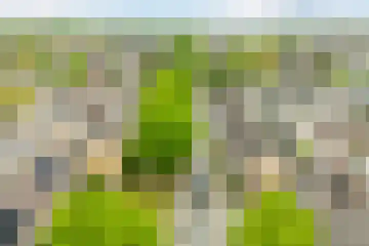 Lingestraat 15 Terneuzen thumbnail 27