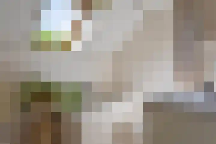 Lingestraat 19 Eindhoven thumbnail 17