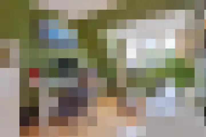 Lingestraat 19 Eindhoven thumbnail 19
