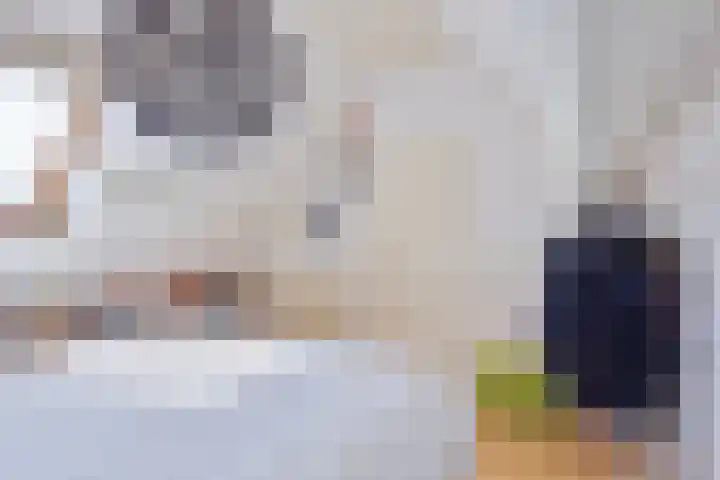Lingestraat 19 Eindhoven thumbnail 23
