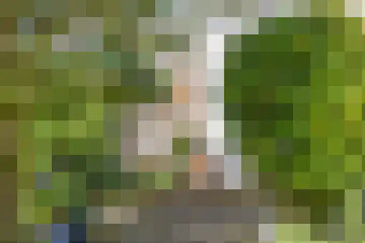 Lingestraat 19 Eindhoven thumbnail 26