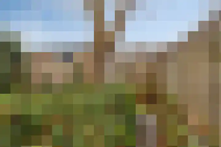 Lingestraat 2 Oost-Souburg thumbnail 26