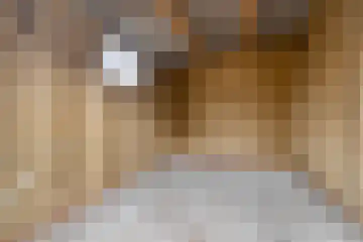 Lingestraat 2 Oost-Souburg thumbnail 27