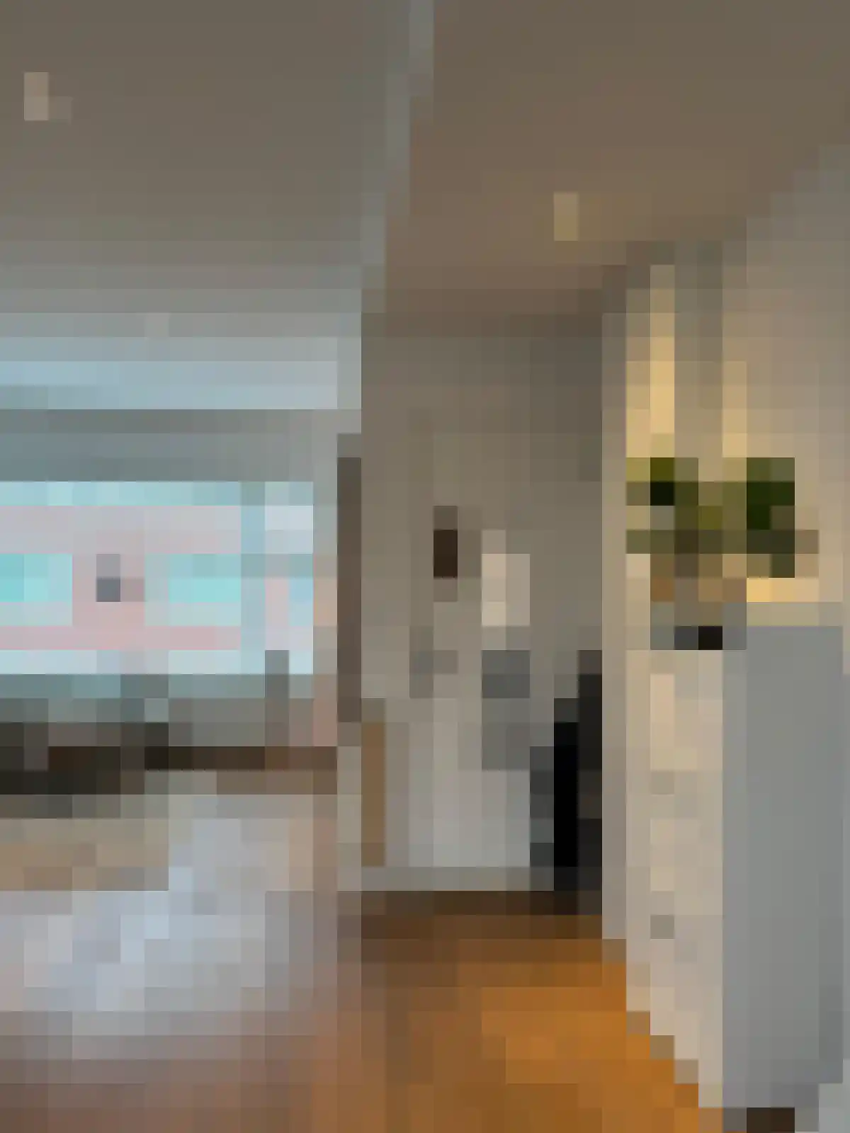 Lingestraat 20 Groningen thumbnail 4