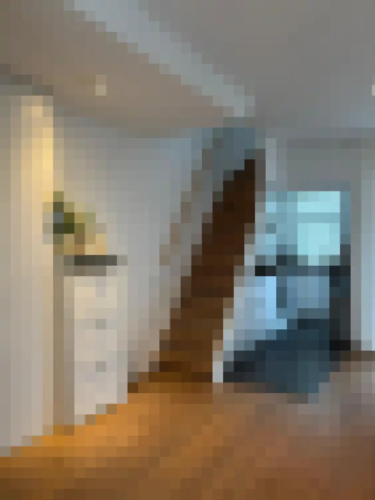 Lingestraat 20 Groningen thumbnail 6