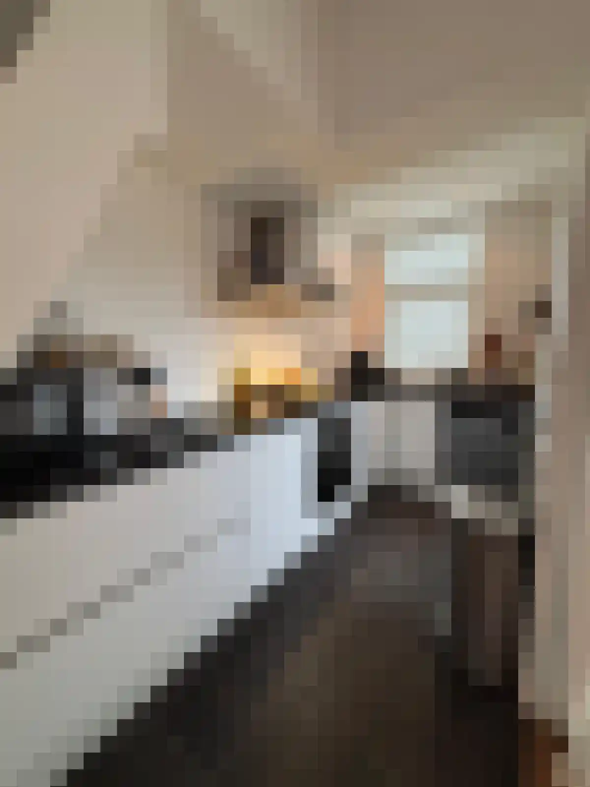 Lingestraat 20 Groningen thumbnail 7