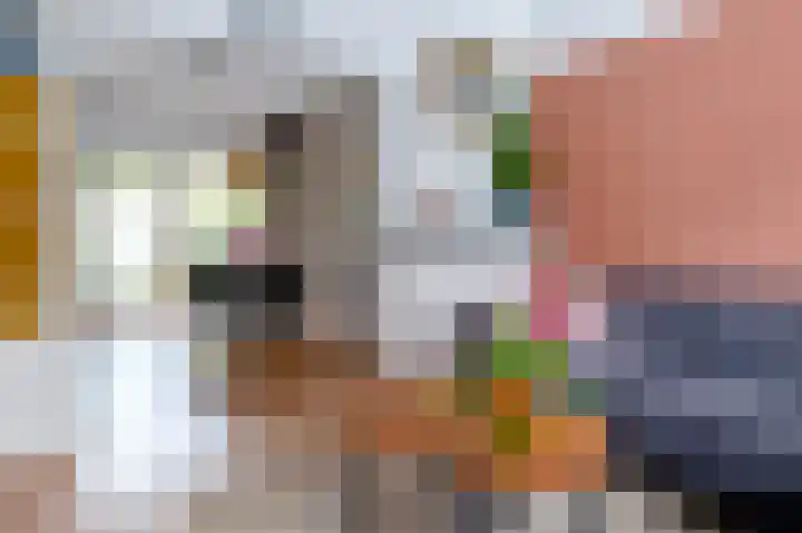 Lingestraat 21 Groningen thumbnail 18