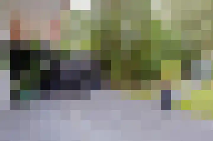 Lingestraat 21 Groningen thumbnail 34