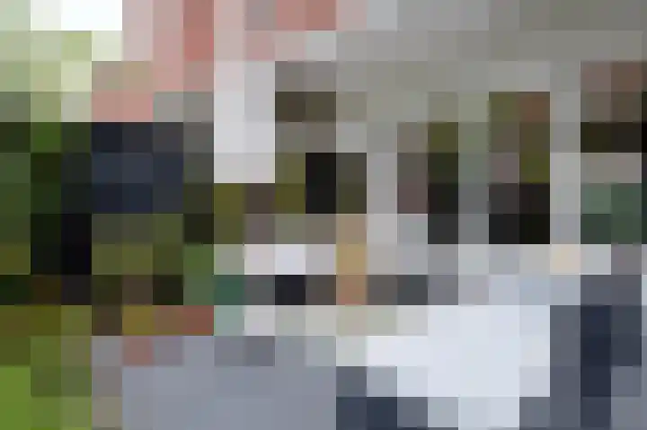 Lingestraat 21 Groningen thumbnail 36