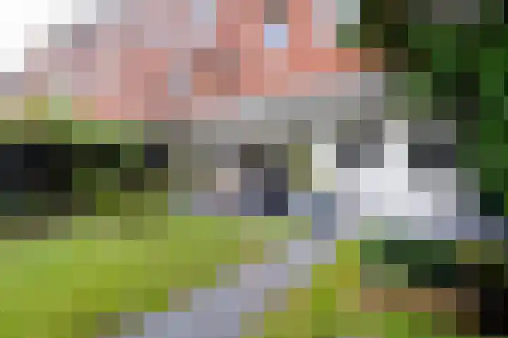 Lingestraat 21 Groningen thumbnail 38