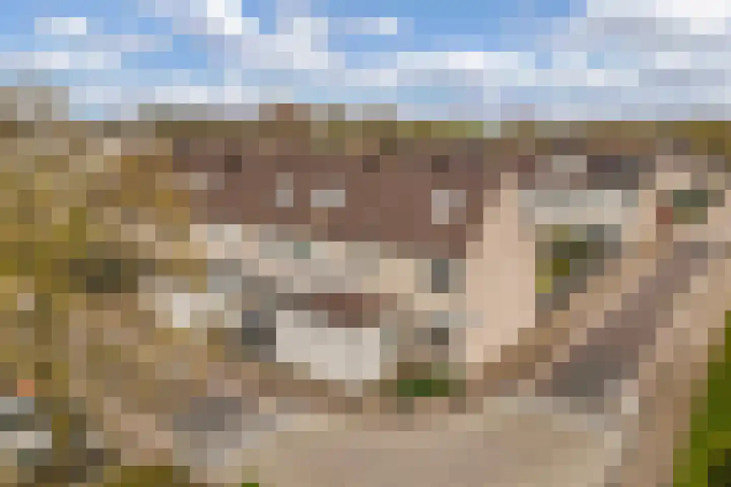 Lingestraat 22 in Almere