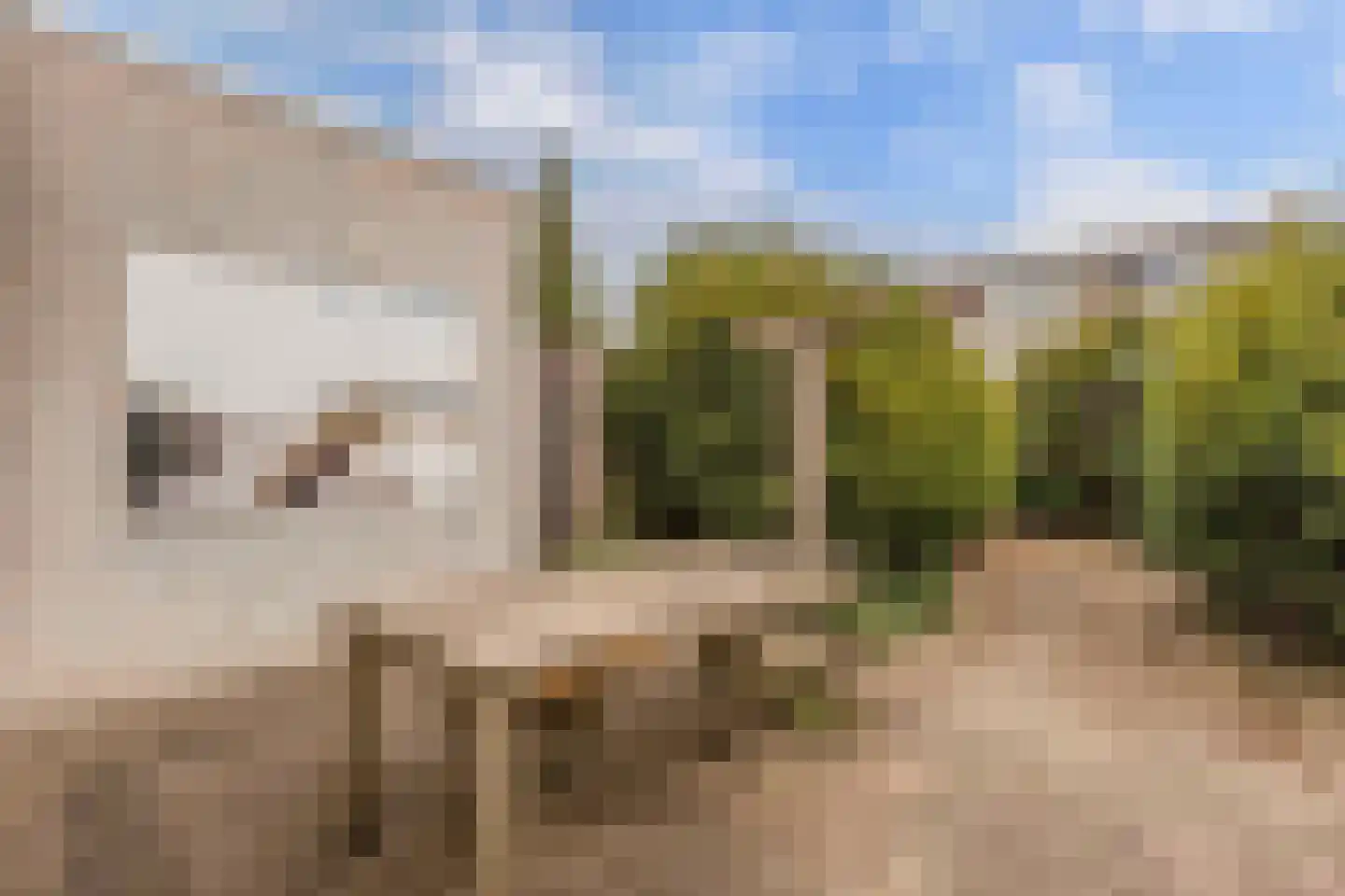 Lingestraat 22 Almere thumbnail 32