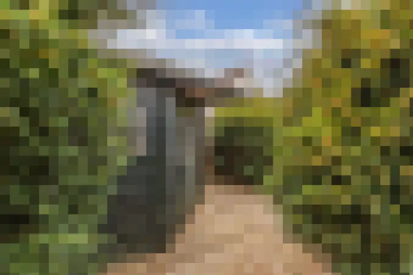 Lingestraat 22 Almere thumbnail 35