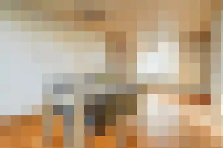 Lingestraat 23 Dongen thumbnail 13