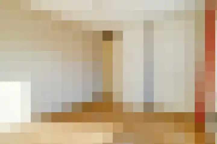 Lingestraat 23 Dongen thumbnail 24
